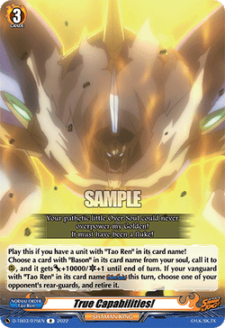 True Capabilities! - D-TB03/075EN