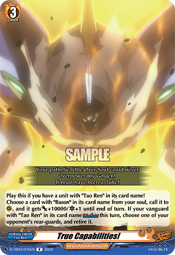 True Capabilities! - D-TB03/075EN