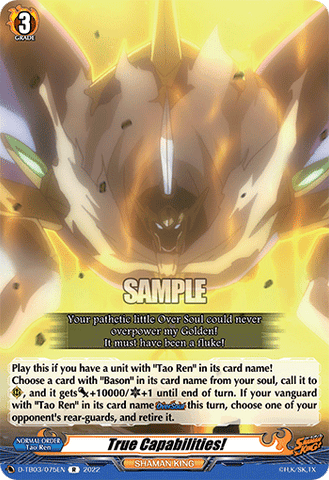 True Capabilities! - D-TB03/075EN