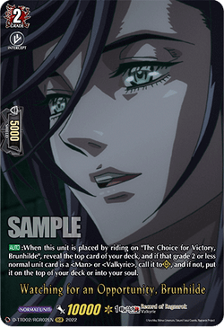 Watching for an Opportunity, Brunhilde (RGR) - D-TTD02/RGR02EN