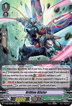 Brillian Blister - D-VS03/080EN