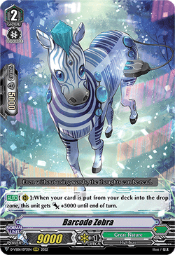 Barcode Zebra - D-VS06/073EN