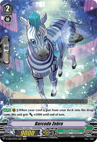 Barcode Zebra - D-VS06/073EN