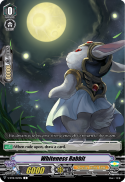 Whiteness Rabbit