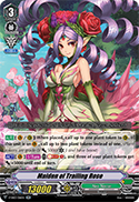 Maiden of Trailing Rose
