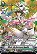 White Lily Musketeer, Cecilia (SVR)