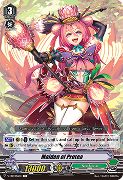 Maiden of Protea
