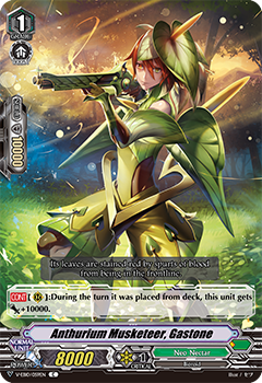 Anthurium Musketeer, Gastone